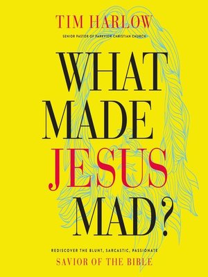 cover image of What Made Jesus Mad?